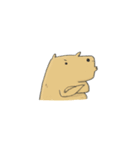 Hey Capybara！（個別スタンプ：9）