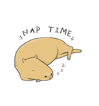 Hey Capybara！（個別スタンプ：17）