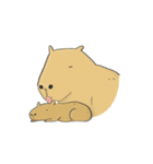 Hey Capybara！（個別スタンプ：21）