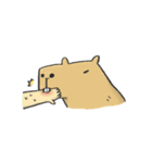 Hey Capybara！（個別スタンプ：24）