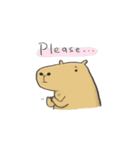 Hey Capybara！（個別スタンプ：25）
