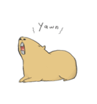 Hey Capybara！（個別スタンプ：33）