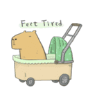 Hey Capybara！（個別スタンプ：37）