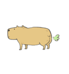 Hey Capybara！（個別スタンプ：38）