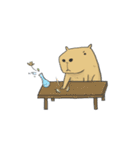 Hey Capybara！（個別スタンプ：39）