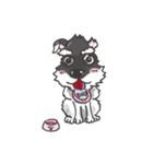 Schnauzer-Snowball（個別スタンプ：1）