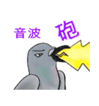 神ハト (台湾語)（個別スタンプ：5）