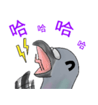 神ハト (台湾語)（個別スタンプ：27）