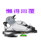 神ハト (台湾語)（個別スタンプ：33）