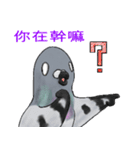 神ハト (台湾語)（個別スタンプ：35）