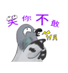 神ハト (台湾語)（個別スタンプ：37）