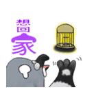 神ハト (台湾語)（個別スタンプ：38）