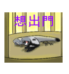 神ハト (台湾語)（個別スタンプ：39）