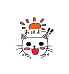 ねこたんのよく使う言葉（個別スタンプ：1）