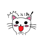 ねこたんのよく使う言葉（個別スタンプ：19）