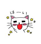 ねこたんのよく使う言葉（個別スタンプ：23）