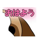 犬のツヨシくん（個別スタンプ：39）