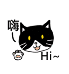猫ちゃん スクーターの日常-実用編~（個別スタンプ：1）