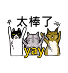 猫ちゃん スクーターの日常-実用編~（個別スタンプ：4）