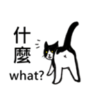 猫ちゃん スクーターの日常-実用編~（個別スタンプ：5）
