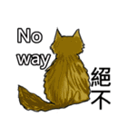 猫ちゃん スクーターの日常-実用編~（個別スタンプ：6）