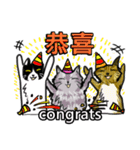 猫ちゃん スクーターの日常-実用編~（個別スタンプ：7）