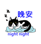 猫ちゃん スクーターの日常-実用編~（個別スタンプ：11）