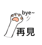 猫ちゃん スクーターの日常-実用編~（個別スタンプ：12）
