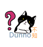 猫ちゃん スクーターの日常-実用編~（個別スタンプ：14）