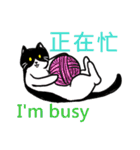 猫ちゃん スクーターの日常-実用編~（個別スタンプ：16）
