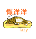 猫ちゃん スクーターの日常-実用編~（個別スタンプ：17）