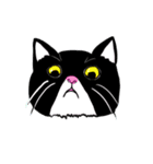 猫ちゃん スクーターの日常-実用編~（個別スタンプ：18）