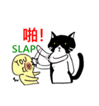 猫ちゃん スクーターの日常-実用編~（個別スタンプ：21）
