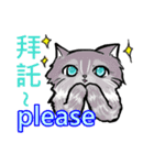 猫ちゃん スクーターの日常-実用編~（個別スタンプ：23）