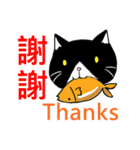 猫ちゃん スクーターの日常-実用編~（個別スタンプ：24）