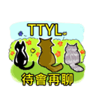 猫ちゃん スクーターの日常-実用編~（個別スタンプ：25）
