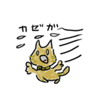 チャネコ（個別スタンプ：2）