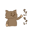 くまのこくーたん。（個別スタンプ：1）