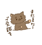 くまのこくーたん。（個別スタンプ：2）