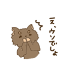くまのこくーたん。（個別スタンプ：10）
