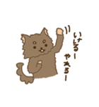 くまのこくーたん。（個別スタンプ：13）