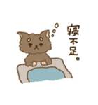 くまのこくーたん。（個別スタンプ：29）
