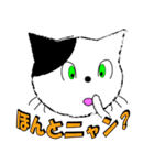 いたずら好きネコ（個別スタンプ：16）