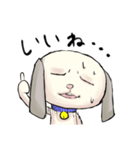 おなか痛い犬「ゆるけん」さんスタンプ（個別スタンプ：10）