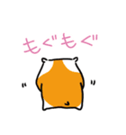ハムたん（個別スタンプ：20）