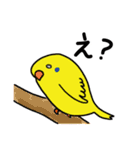 ハムたん（個別スタンプ：22）