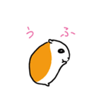 ハムたん（個別スタンプ：28）