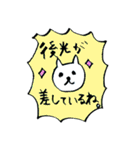 豆柴犬ひまわりの元気なおしゃべり（個別スタンプ：13）