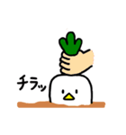 とりだいこん（個別スタンプ：24）