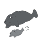 Seal Sea Cow (Dugong) Walrus ＆ Sea Lion（個別スタンプ：18）